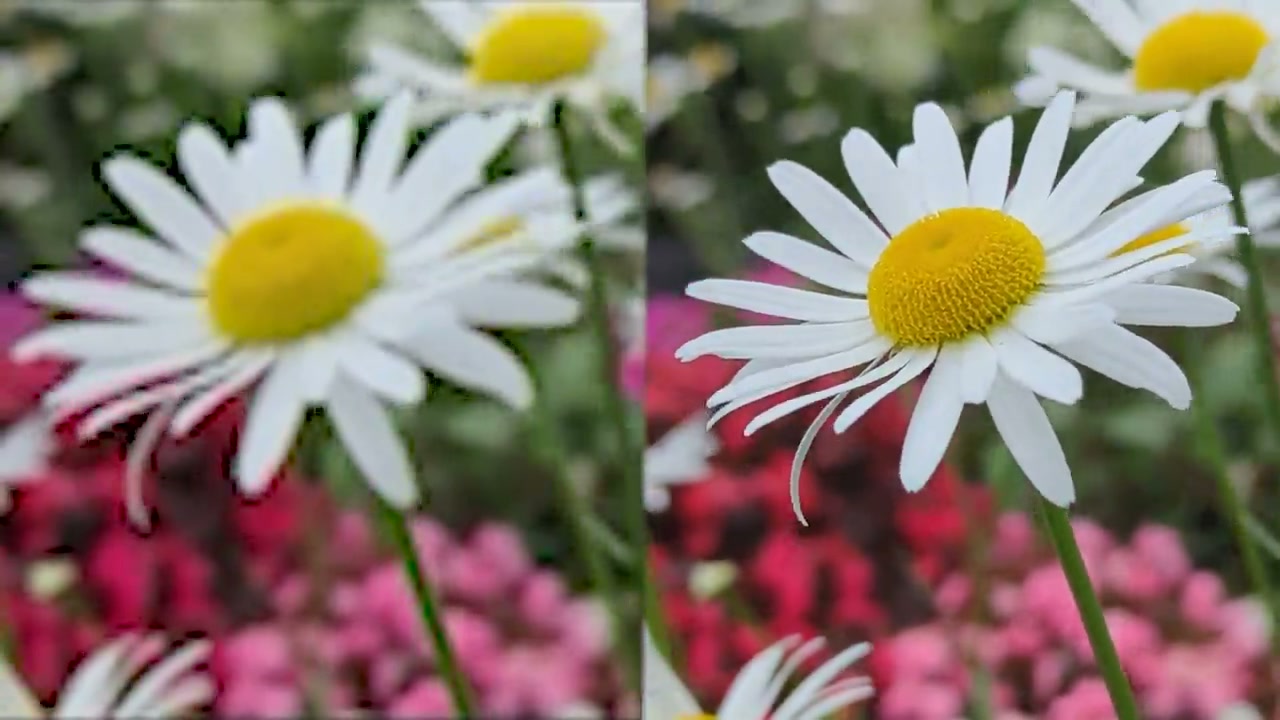 An image upscaled to higher resolution with restored detail